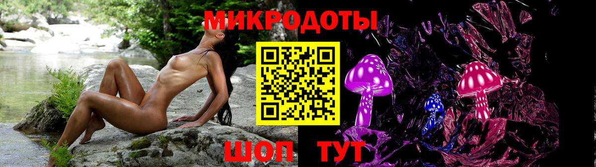 Галлюциногенные грибы Psilocybine cubensis Среднеуральск