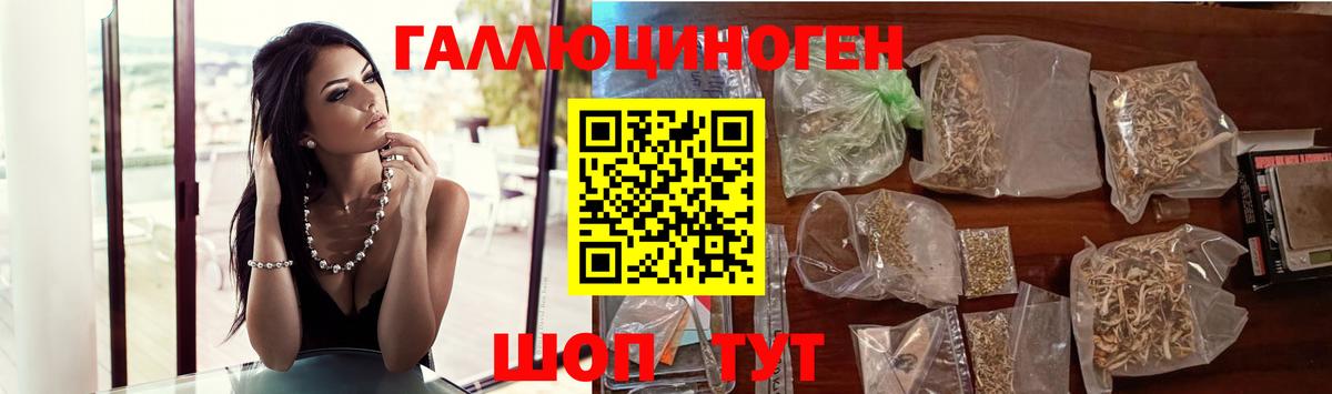 Среднеуральск  Псилоцибиновые грибы Psilocybe  Вход с VPN 